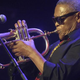 South African trumpeter, composer and singer Hugh Masekela
PIUS UTOMI EKPEI/AFP/Getty Images